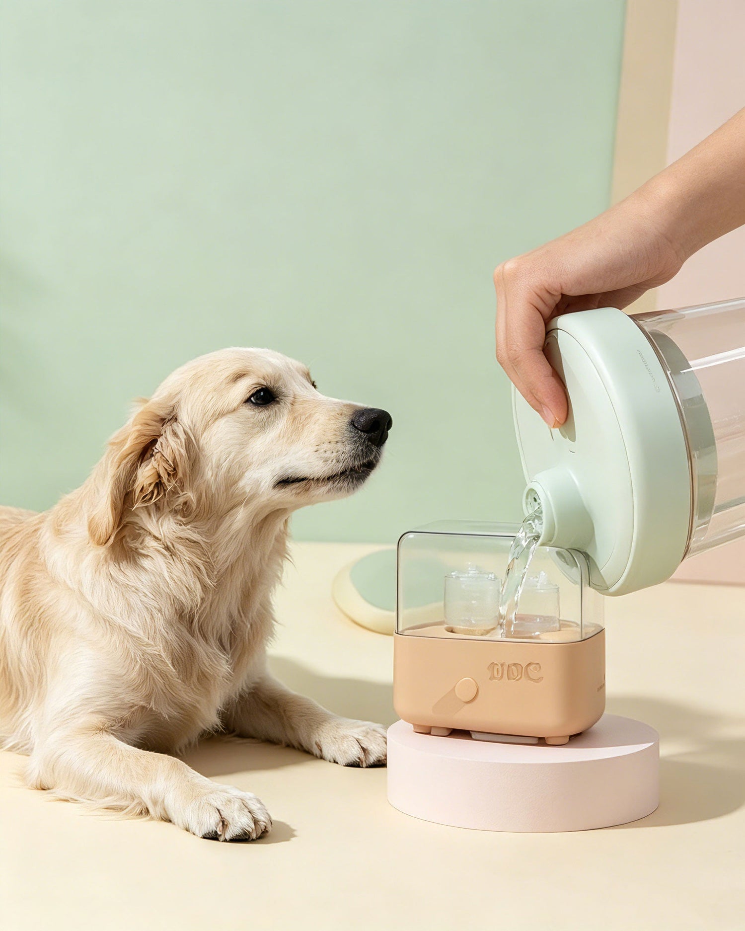 Pet Training &  Interactive Supplies: Build Better Bonding With Your Pets