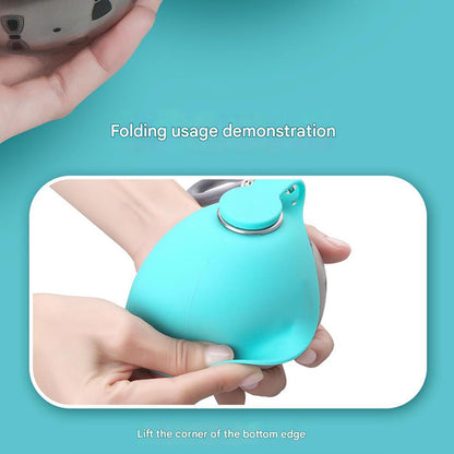 Stainless Steel Pet Water Bottle with Silicone Bowl