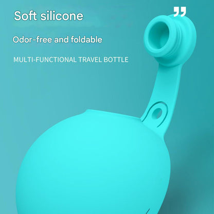 Stainless Steel Pet Water Bottle with Silicone Bowl