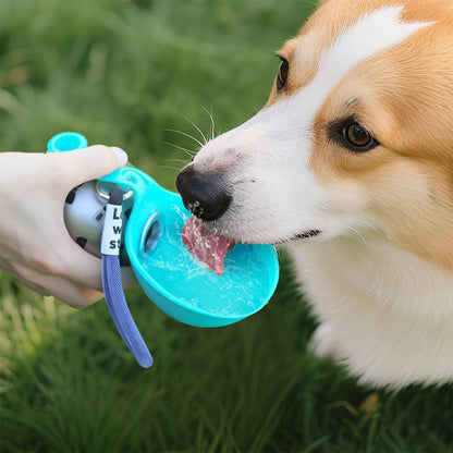 Stainless Steel Pet Water Bottle with Silicone Bowl