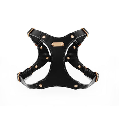 The Heritage Collection: Vegan Leather Y-Harness